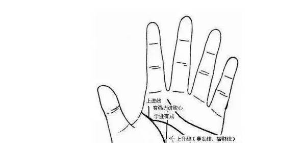 偏财运指的就是会有意想不到的钱财,人们通称为横财。很多人说手指比较灵活的人脑部都是比较灵活的,财运的好坏大多数也都和手相有关系,下面来详细解析手相看你财大或财小,和偏财运极旺的手相。 手上多条竖直的财运线 对于财运线而言,往往与个人的财运收获、运气、成功具有一定的关系,因此对于偏财运而言也要观察财运线的手纹状况。对于财运线的位置而言实在手掌无名指下方出现了竖向的手纹可以称之为财运线。因此如果大家发现在自己的手掌上,出现了多条竖直的财运线,则往往象征一个人的财富收获不仅依靠正财,同时也依靠偏财。 一夜暴富,这些人偏财运极旺,有意外之财!你知道是哪些人吗? 手掌三丘饱胀 所谓“手掌三丘”是指在手掌的靠近手指的位置,往往有三个像小山丘一样的鼓包。它们从中国掌相学中分别被称为“离丘”、“巽丘”和“坤丘”,因此如果一个人的这三个掌丘皆饱满并带有微红色,则象征此人的财运状况比较理想。不但容易因为正财运而财运上升,同时偏财运也是稳中有升的状态,遇到的机会和好运气均强于他人。 一夜暴富,这些人偏财运极旺,有意外之财!你知道是哪些人吗? 1旺运型 食指和中指之间有隙缝的人,虽然本身不喜欢受到他人的束缚,但因思考细微、慎密、做事勤劳、努力,所以将来必能出人头地。而有所成就,当然财富也会旺。 一夜暴富,这些人偏财运极旺,有意外之财!你知道是哪些人吗? 2勤俭型 在大拇指的第二关节,无论是横纹还是直纹,纹路越多表示积攒的财富越多。这种人多靠勤俭致富。 3异缘型 一般人在食指上面有一条横纹叫做指节纹,如果有三条指节纹的话叫做三约纹。这种人一生中不缺钱,往往都是由桃花来的,例如男人可能娶到很有钱的老婆,或者女孩子会拿钱给他,女性会找到有钱的男人。 一夜暴富,这些人偏财运极旺,有意外之财!你知道是哪些人吗? 4理财型 在手掌感情线上方有一条平行的纹叫做理财纹。有这种理财纹的人通常是替老板、上司理财,或者是大公司里面的会计或者出纳,通常帮人人家理财,当然自己也会投次理财,因此不会缺钱用。 一夜暴富,这些人偏财运极旺,有意外之财!你知道是哪些人吗? 5商业型 食指根部木星丘发达,气色血色良好,财运必佳。木星丘饱满的人,财运必然旺盛,这种人大多是商业发家。 一夜暴富,这些人偏财运极旺,有意外之财!你知道是哪些人吗? 6暴发型 生命线与智慧线起点,有上升线的人,将会发财。或者是事业线出现支线上伸到水星丘,将能发大财。这种人多半是出现各利机遇而突然发财。 一夜暴富,这些人偏财运极旺,有意外之财!你知道是哪些人吗? 7偏财型 小指根部水星丘与无名指根部太阳丘之间的部位如有出现十字纹,又称灵感线或神秘十字纹,有这条线的人,第六感发达,具有预测功能,喜欢研究玄秘深奥事物,有才志,有见解,偏财运也极好。 一夜暴富,这些人偏财运极旺,有意外之财!你知道是哪些人吗? 大拇指 拥有厚实拇指的人,用钱的观念十分实在,不会将钱花在过份强调感官享受的事情上。如华丽的衣服和美食,在这种人的眼中,是极为不实际的。这样的人,对生活的要求很简单,为人也相当务实,说一是一,不会有太多的心机。平而薄的拇指,与厚实的拇指正好具有相反的性格。这样的人不喜欢一板一眼的日子,性格具有神经质的特性。如果拇指又平又短,对于理财则会有过于谨慎保守而变得优柔寡断的情形出现。 一夜暴富,这些人偏财运极旺,有意外之财!你知道是哪些人吗? 食指 食指在手相学中,通常意味着支配欲、权力欲与一个人的进取心,所以食指较长的人,性格也比较顽强,相当具有企图心。食指过长,性格偏强硬、爱出锋头。财大气粗的性格,往往很难存得住钱。这种类型的人,就算钱赚得多,花得也多,所以节制挥霍的欲望和消费习惯,是根本之道。 一夜暴富,这些人偏财运极旺,有意外之财!你知道是哪些人吗? 中指 中指是四根手指中最长的,而且位于五根手指头的中心,象征一个人的命运。中指如果生得过短,则是缺乏耐性和冲动的表示。这种人必须好好约束和规范自己的情感,不然很容易做出会令自己后悔莫及的事。在金钱的投资打理态度也是倾向于盲从跟进的态度。如果能获利纯属幸运,要是全盘皆输,将会从此一蹶不振。 一夜暴富,这些人偏财运极旺,有意外之财!你知道是哪些人吗? 无名指 无名指象征着一个人的艺术才华、人缘和财富。在四根手指当中,无名指的长度仅次于中指,一看到无名指,往往会令人想到和创作天份相关的事物,所以认定它主掌一个人的才华、人缘和财富,是手相学家一致同意的。无名指长的人好赌,也是件令人头疼的事。这样的人,将钱视为身外之物,他之所以赌钱,不是因为贪财,而是喜欢追求刺激,加上个性不服输所致。 一夜暴富,这些人偏财运极旺,有意外之财!你知道是哪些人吗? 小拇指 小指长的人,具有雄辩之才,语文的表达能力极佳,而且喜欢言谈,个性上很强势。不过缺点在于言多必失,而且容易因言语得罪人,所以结怨招惹他人的可能性也大。另外也要小心使用权谋、工于心计,所以虽然能拥有事业和财富,但人缘却不见得好。