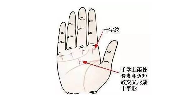 偏财运指的就是会有意想不到的钱财,人们通称为横财。很多人说手指比较灵活的人脑部都是比较灵活的,财运的好坏大多数也都和手相有关系,下面来详细解析手相看你财大或财小,和偏财运极旺的手相。 手上多条竖直的财运线 对于财运线而言,往往与个人的财运收获、运气、成功具有一定的关系,因此对于偏财运而言也要观察财运线的手纹状况。对于财运线的位置而言实在手掌无名指下方出现了竖向的手纹可以称之为财运线。因此如果大家发现在自己的手掌上,出现了多条竖直的财运线,则往往象征一个人的财富收获不仅依靠正财,同时也依靠偏财。 一夜暴富,这些人偏财运极旺,有意外之财!你知道是哪些人吗? 手掌三丘饱胀 所谓“手掌三丘”是指在手掌的靠近手指的位置,往往有三个像小山丘一样的鼓包。它们从中国掌相学中分别被称为“离丘”、“巽丘”和“坤丘”,因此如果一个人的这三个掌丘皆饱满并带有微红色,则象征此人的财运状况比较理想。不但容易因为正财运而财运上升,同时偏财运也是稳中有升的状态,遇到的机会和好运气均强于他人。 一夜暴富,这些人偏财运极旺,有意外之财!你知道是哪些人吗? 1旺运型 食指和中指之间有隙缝的人,虽然本身不喜欢受到他人的束缚,但因思考细微、慎密、做事勤劳、努力,所以将来必能出人头地。而有所成就,当然财富也会旺。 一夜暴富,这些人偏财运极旺,有意外之财!你知道是哪些人吗? 2勤俭型 在大拇指的第二关节,无论是横纹还是直纹,纹路越多表示积攒的财富越多。这种人多靠勤俭致富。 3异缘型 一般人在食指上面有一条横纹叫做指节纹,如果有三条指节纹的话叫做三约纹。这种人一生中不缺钱,往往都是由桃花来的,例如男人可能娶到很有钱的老婆,或者女孩子会拿钱给他,女性会找到有钱的男人。 一夜暴富,这些人偏财运极旺,有意外之财!你知道是哪些人吗? 4理财型 在手掌感情线上方有一条平行的纹叫做理财纹。有这种理财纹的人通常是替老板、上司理财,或者是大公司里面的会计或者出纳,通常帮人人家理财,当然自己也会投次理财,因此不会缺钱用。 一夜暴富,这些人偏财运极旺,有意外之财!你知道是哪些人吗? 5商业型 食指根部木星丘发达,气色血色良好,财运必佳。木星丘饱满的人,财运必然旺盛,这种人大多是商业发家。 一夜暴富,这些人偏财运极旺,有意外之财!你知道是哪些人吗? 6暴发型 生命线与智慧线起点,有上升线的人,将会发财。或者是事业线出现支线上伸到水星丘,将能发大财。这种人多半是出现各利机遇而突然发财。 一夜暴富,这些人偏财运极旺,有意外之财!你知道是哪些人吗? 7偏财型 小指根部水星丘与无名指根部太阳丘之间的部位如有出现十字纹,又称灵感线或神秘十字纹,有这条线的人,第六感发达,具有预测功能,喜欢研究玄秘深奥事物,有才志,有见解,偏财运也极好。 一夜暴富,这些人偏财运极旺,有意外之财!你知道是哪些人吗? 大拇指 拥有厚实拇指的人,用钱的观念十分实在,不会将钱花在过份强调感官享受的事情上。如华丽的衣服和美食,在这种人的眼中,是极为不实际的。这样的人,对生活的要求很简单,为人也相当务实,说一是一,不会有太多的心机。平而薄的拇指,与厚实的拇指正好具有相反的性格。这样的人不喜欢一板一眼的日子,性格具有神经质的特性。如果拇指又平又短,对于理财则会有过于谨慎保守而变得优柔寡断的情形出现。 一夜暴富,这些人偏财运极旺,有意外之财!你知道是哪些人吗? 食指 食指在手相学中,通常意味着支配欲、权力欲与一个人的进取心,所以食指较长的人,性格也比较顽强,相当具有企图心。食指过长,性格偏强硬、爱出锋头。财大气粗的性格,往往很难存得住钱。这种类型的人,就算钱赚得多,花得也多,所以节制挥霍的欲望和消费习惯,是根本之道。 一夜暴富,这些人偏财运极旺,有意外之财!你知道是哪些人吗? 中指 中指是四根手指中最长的,而且位于五根手指头的中心,象征一个人的命运。中指如果生得过短,则是缺乏耐性和冲动的表示。这种人必须好好约束和规范自己的情感,不然很容易做出会令自己后悔莫及的事。在金钱的投资打理态度也是倾向于盲从跟进的态度。如果能获利纯属幸运,要是全盘皆输,将会从此一蹶不振。 一夜暴富,这些人偏财运极旺,有意外之财!你知道是哪些人吗? 无名指 无名指象征着一个人的艺术才华、人缘和财富。在四根手指当中,无名指的长度仅次于中指,一看到无名指,往往会令人想到和创作天份相关的事物,所以认定它主掌一个人的才华、人缘和财富,是手相学家一致同意的。无名指长的人好赌,也是件令人头疼的事。这样的人,将钱视为身外之物,他之所以赌钱,不是因为贪财,而是喜欢追求刺激,加上个性不服输所致。 一夜暴富,这些人偏财运极旺,有意外之财!你知道是哪些人吗? 小拇指 小指长的人,具有雄辩之才,语文的表达能力极佳,而且喜欢言谈,个性上很强势。不过缺点在于言多必失,而且容易因言语得罪人,所以结怨招惹他人的可能性也大。另外也要小心使用权谋、工于心计,所以虽然能拥有事业和财富,但人缘却不见得好。