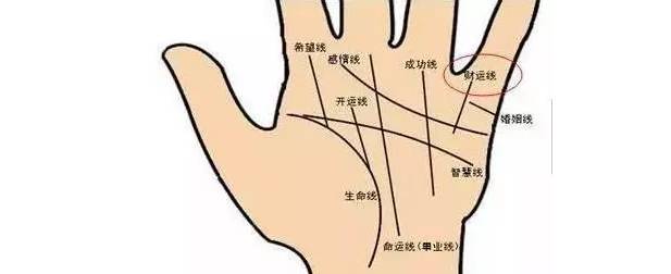 偏财运指的就是会有意想不到的钱财,人们通称为横财。很多人说手指比较灵活的人脑部都是比较灵活的,财运的好坏大多数也都和手相有关系,下面来详细解析手相看你财大或财小,和偏财运极旺的手相。 手上多条竖直的财运线 对于财运线而言,往往与个人的财运收获、运气、成功具有一定的关系,因此对于偏财运而言也要观察财运线的手纹状况。对于财运线的位置而言实在手掌无名指下方出现了竖向的手纹可以称之为财运线。因此如果大家发现在自己的手掌上,出现了多条竖直的财运线,则往往象征一个人的财富收获不仅依靠正财,同时也依靠偏财。 一夜暴富,这些人偏财运极旺,有意外之财!你知道是哪些人吗? 手掌三丘饱胀 所谓“手掌三丘”是指在手掌的靠近手指的位置,往往有三个像小山丘一样的鼓包。它们从中国掌相学中分别被称为“离丘”、“巽丘”和“坤丘”,因此如果一个人的这三个掌丘皆饱满并带有微红色,则象征此人的财运状况比较理想。不但容易因为正财运而财运上升,同时偏财运也是稳中有升的状态,遇到的机会和好运气均强于他人。 一夜暴富,这些人偏财运极旺,有意外之财!你知道是哪些人吗? 1旺运型 食指和中指之间有隙缝的人,虽然本身不喜欢受到他人的束缚,但因思考细微、慎密、做事勤劳、努力,所以将来必能出人头地。而有所成就,当然财富也会旺。 一夜暴富,这些人偏财运极旺,有意外之财!你知道是哪些人吗? 2勤俭型 在大拇指的第二关节,无论是横纹还是直纹,纹路越多表示积攒的财富越多。这种人多靠勤俭致富。 3异缘型 一般人在食指上面有一条横纹叫做指节纹,如果有三条指节纹的话叫做三约纹。这种人一生中不缺钱,往往都是由桃花来的,例如男人可能娶到很有钱的老婆,或者女孩子会拿钱给他,女性会找到有钱的男人。 一夜暴富,这些人偏财运极旺,有意外之财!你知道是哪些人吗? 4理财型 在手掌感情线上方有一条平行的纹叫做理财纹。有这种理财纹的人通常是替老板、上司理财,或者是大公司里面的会计或者出纳,通常帮人人家理财,当然自己也会投次理财,因此不会缺钱用。 一夜暴富,这些人偏财运极旺,有意外之财!你知道是哪些人吗? 5商业型 食指根部木星丘发达,气色血色良好,财运必佳。木星丘饱满的人,财运必然旺盛,这种人大多是商业发家。 一夜暴富,这些人偏财运极旺,有意外之财!你知道是哪些人吗? 6暴发型 生命线与智慧线起点,有上升线的人,将会发财。或者是事业线出现支线上伸到水星丘,将能发大财。这种人多半是出现各利机遇而突然发财。 一夜暴富,这些人偏财运极旺,有意外之财!你知道是哪些人吗? 7偏财型 小指根部水星丘与无名指根部太阳丘之间的部位如有出现十字纹,又称灵感线或神秘十字纹,有这条线的人,第六感发达,具有预测功能,喜欢研究玄秘深奥事物,有才志,有见解,偏财运也极好。 一夜暴富,这些人偏财运极旺,有意外之财!你知道是哪些人吗? 大拇指 拥有厚实拇指的人,用钱的观念十分实在,不会将钱花在过份强调感官享受的事情上。如华丽的衣服和美食,在这种人的眼中,是极为不实际的。这样的人,对生活的要求很简单,为人也相当务实,说一是一,不会有太多的心机。平而薄的拇指,与厚实的拇指正好具有相反的性格。这样的人不喜欢一板一眼的日子,性格具有神经质的特性。如果拇指又平又短,对于理财则会有过于谨慎保守而变得优柔寡断的情形出现。 一夜暴富,这些人偏财运极旺,有意外之财!你知道是哪些人吗? 食指 食指在手相学中,通常意味着支配欲、权力欲与一个人的进取心,所以食指较长的人,性格也比较顽强,相当具有企图心。食指过长,性格偏强硬、爱出锋头。财大气粗的性格,往往很难存得住钱。这种类型的人,就算钱赚得多,花得也多,所以节制挥霍的欲望和消费习惯,是根本之道。 一夜暴富,这些人偏财运极旺,有意外之财!你知道是哪些人吗? 中指 中指是四根手指中最长的,而且位于五根手指头的中心,象征一个人的命运。中指如果生得过短,则是缺乏耐性和冲动的表示。这种人必须好好约束和规范自己的情感,不然很容易做出会令自己后悔莫及的事。在金钱的投资打理态度也是倾向于盲从跟进的态度。如果能获利纯属幸运,要是全盘皆输,将会从此一蹶不振。 一夜暴富,这些人偏财运极旺,有意外之财!你知道是哪些人吗? 无名指 无名指象征着一个人的艺术才华、人缘和财富。在四根手指当中,无名指的长度仅次于中指,一看到无名指,往往会令人想到和创作天份相关的事物,所以认定它主掌一个人的才华、人缘和财富,是手相学家一致同意的。无名指长的人好赌,也是件令人头疼的事。这样的人,将钱视为身外之物,他之所以赌钱,不是因为贪财,而是喜欢追求刺激,加上个性不服输所致。 一夜暴富,这些人偏财运极旺,有意外之财!你知道是哪些人吗? 小拇指 小指长的人,具有雄辩之才,语文的表达能力极佳,而且喜欢言谈,个性上很强势。不过缺点在于言多必失,而且容易因言语得罪人,所以结怨招惹他人的可能性也大。另外也要小心使用权谋、工于心计,所以虽然能拥有事业和财富,但人缘却不见得好。