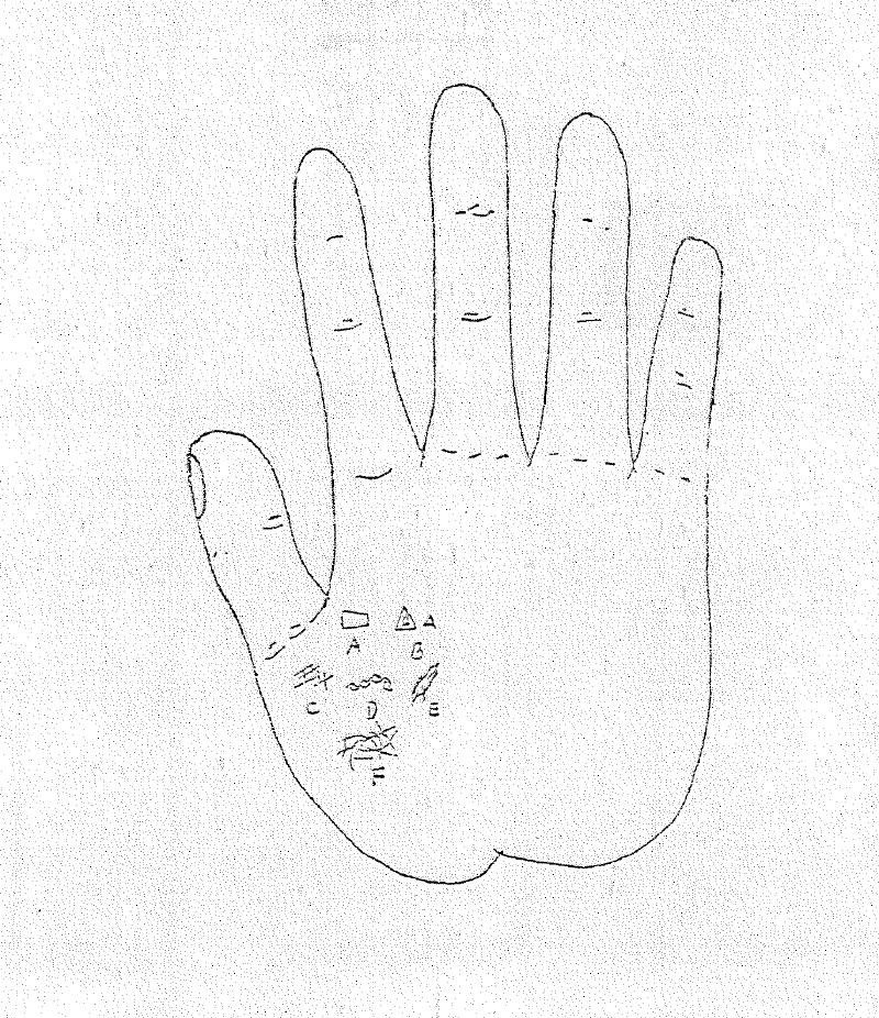 秘传手相绝对符