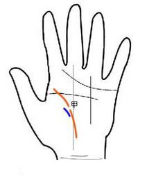 有贵人的生命线手相图解 有贵人的生命线手相图解