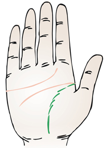 图解生命线、感情线、事业线