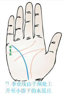 事业线从手颈线处上升详解!