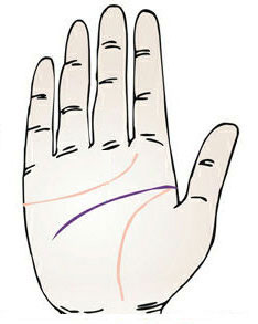 智慧线在感情线及生命线的中间相关详解!