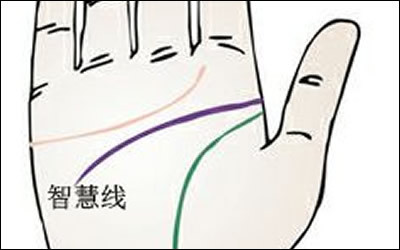 智慧线详解！