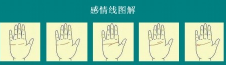 手相图解感情线看婚姻关系