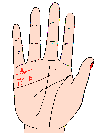 看女人手相知道婚姻,手相看感情