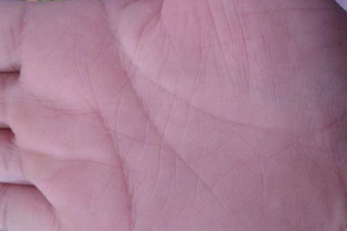 教你如何从手相看财运 教你如何从手相看财运