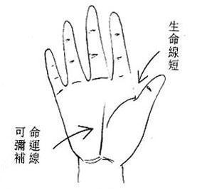 生命线短意味着什么？