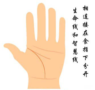 生命线与智慧线相连图解 生命线与智慧线相连图解