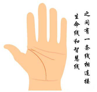 生命线与智慧线相连图解 生命线与智慧线相连图解