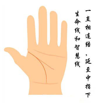 生命线与智慧线相连图解 生命线与智慧线相连图解