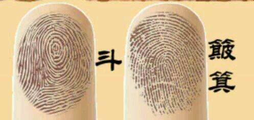 手纹算命与配对 手纹算命与配对