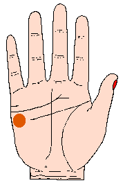 凯帝阿手相算命图解大全08 凯帝阿手相算命图解大全08