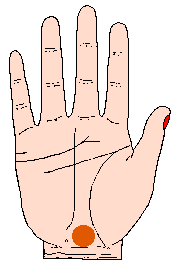 凯帝阿手相算命图解大全08 凯帝阿手相算命图解大全08