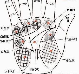 值得托付终身的情人手相 值得托付终身的情人手相
