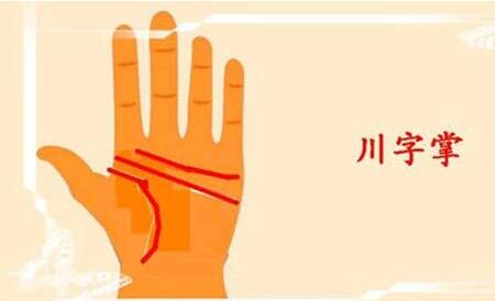 细说双川掌纹的女人 细说双川掌纹的女人