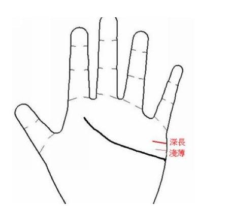 5种手相透析你婚姻 5种手相透析你婚姻