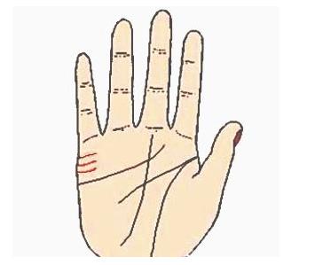 5种手相透析你婚姻 5种手相透析你婚姻