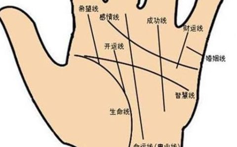 手相看看你的财富与命运