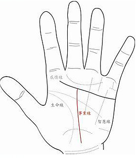 事业线到感情线停止好不好？