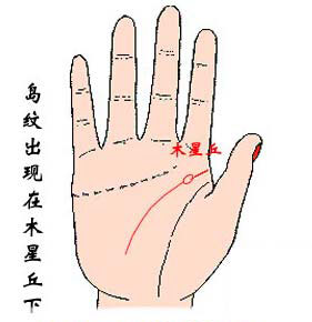 智慧线出现岛纹，智慧线岛纹图解