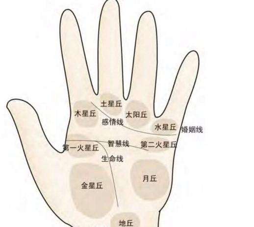 女性手相三丘饱满异性缘超旺! 女性手相三丘饱满异性缘超旺!