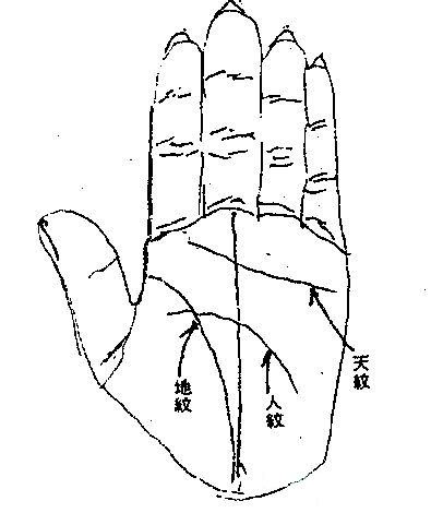 手相之文笔纹 手相之文笔纹