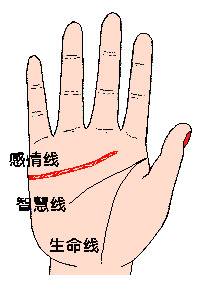 从感情线看命运 从感情线看命运