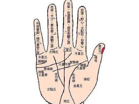 教你学会看手相 教你学会看手相