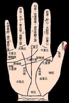 从手相和八字命理解读恋母情节 从手相和八字命理解读恋母情节