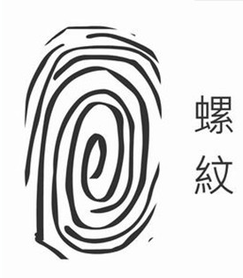 女强人的手相特征! 女强人的手相特征!