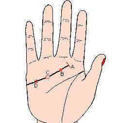 手相感情线图解