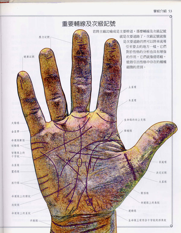 《手相学习百科》:掌纹介绍 《手相学习百科》:掌纹介绍
