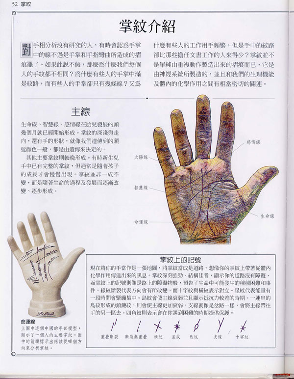 《手相学习百科》:掌纹介绍 《手相学习百科》:掌纹介绍