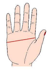 男女断掌手相图解大全 男女断掌手相图解大全