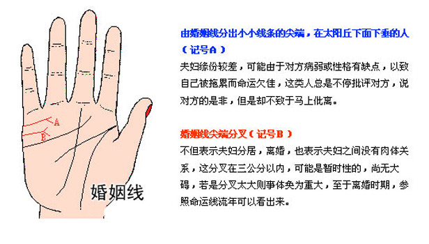 最详细的女人手相图解 最详细的女人手相图解