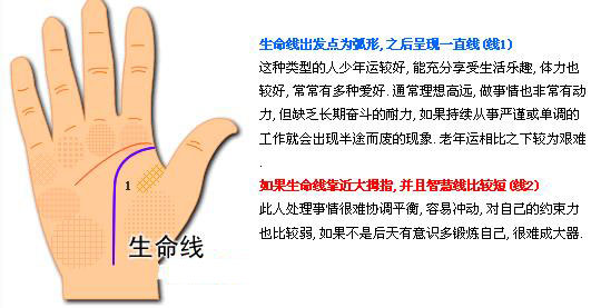 最详细的女人手相图解 最详细的女人手相图解
