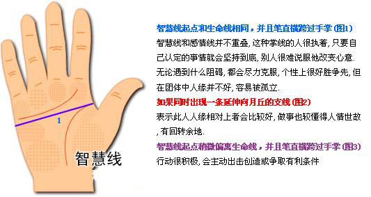 最详细的女人手相图解 最详细的女人手相图解