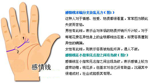 最详细的女人手相图解 最详细的女人手相图解