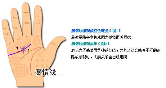 最详细的女人手相图解 最详细的女人手相图解