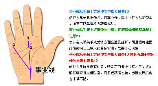 最详细的女人手相图解 最详细的女人手相图解