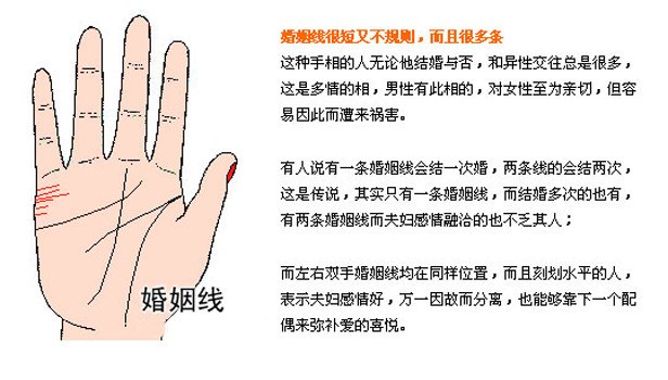 最详细的女人手相图解 最详细的女人手相图解