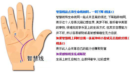 最详细的女人手相图解 最详细的女人手相图解