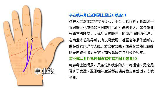 最详细的女人手相图解 最详细的女人手相图解