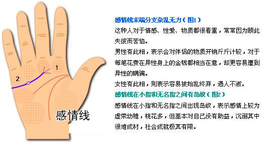 最详细的女人手相图解 最详细的女人手相图解