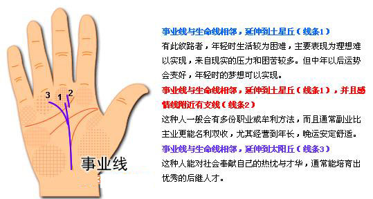 最详细的女人手相图解 最详细的女人手相图解