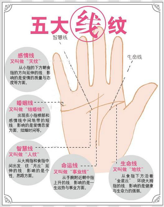 最详细的女人手相图解 最详细的女人手相图解