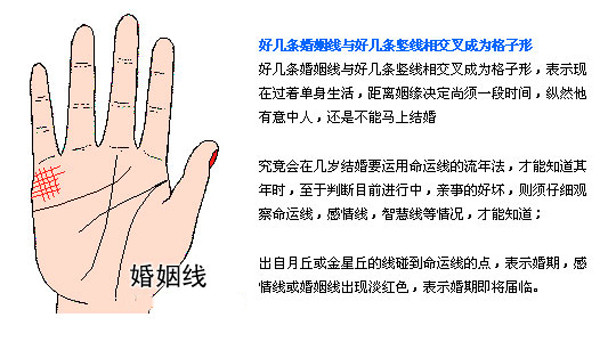 最详细的女人手相图解 最详细的女人手相图解