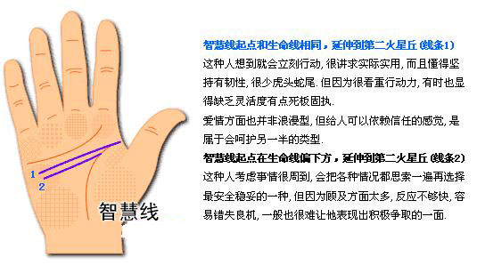 最详细的女人手相图解 最详细的女人手相图解